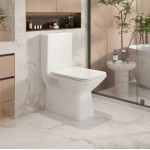 Aria Rimless Toilet Suite Aria Rimless Toilet Suite